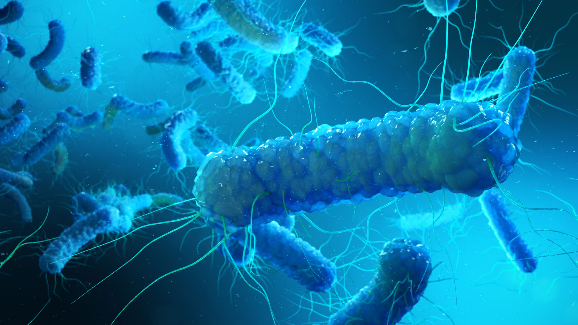 Beware Sepsis – Think Sepsis