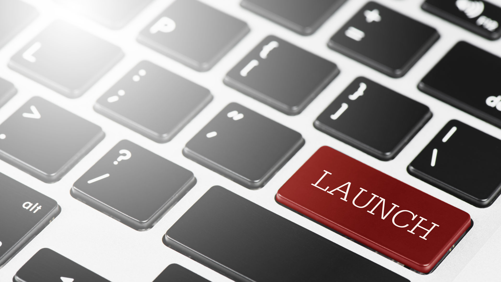 New PMP Website